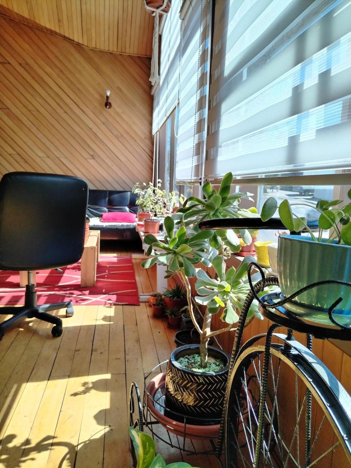 Habitacion Manio Castro Εξωτερικό φωτογραφία